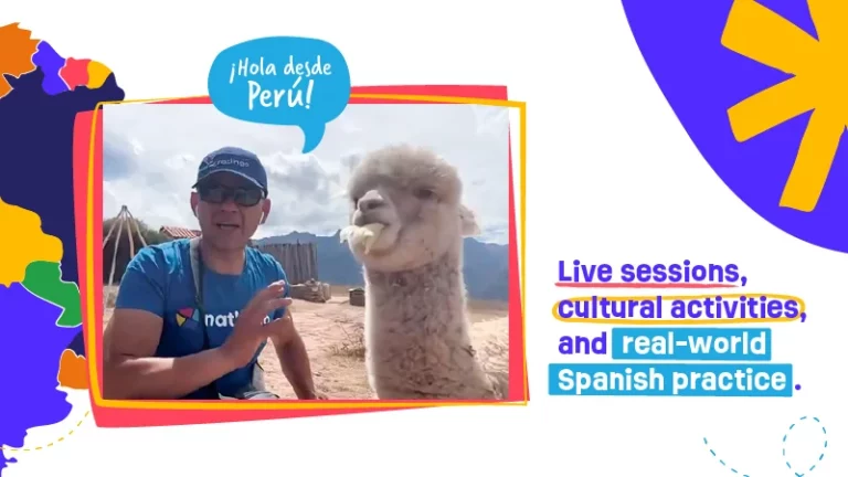 dfwcarrusel3 768x432