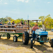 Fall Roundup at Nash Farm, photo courtesy Grapevine Convention & Visitors Bureau