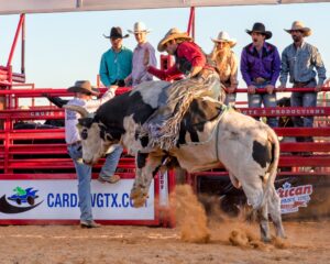 482212508 1057595206395777 1914340534114541496 n 1 300x240