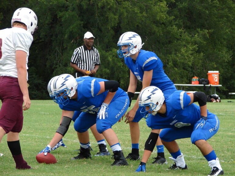 dsc01862 Large 768x576