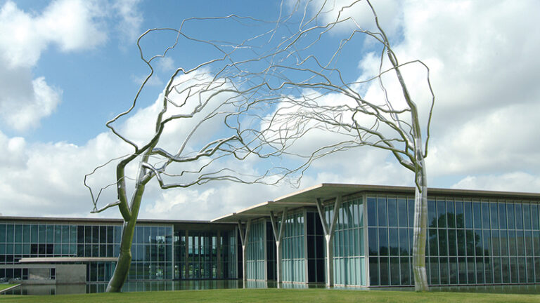 fort worth themodern conjoined artist roxy paine photo by david wharton.800px 768x432