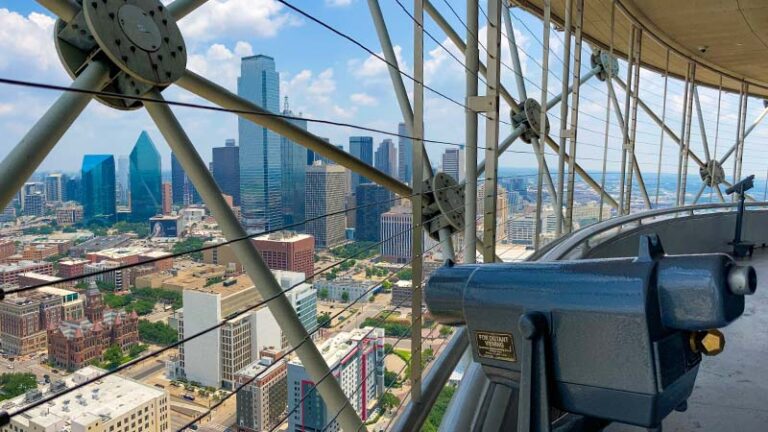 img 0031800x450 3 768x432