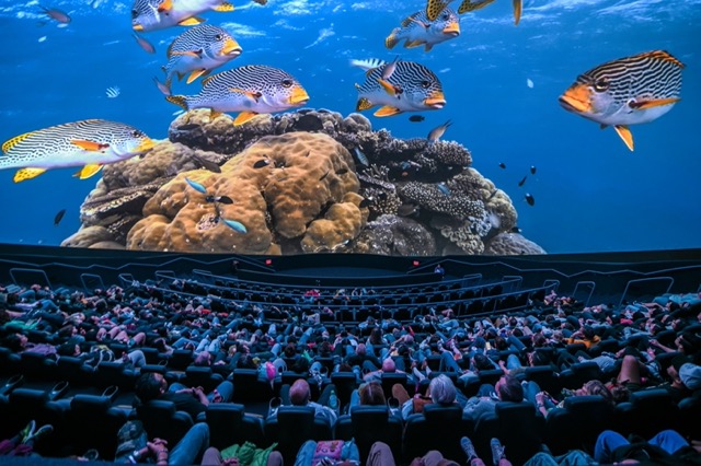 nz2 89162 1 Medium 1