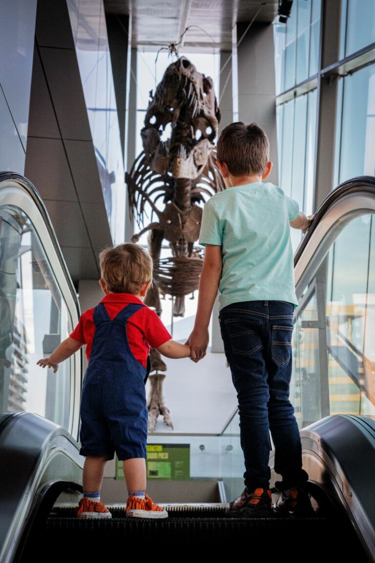 perotnight12 1 768x1152