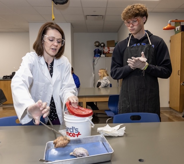 screenshot 20250429 at 10.04.49am Medium 1