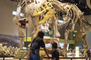 summer camp march 7.18.23230807 27 Large 300x200