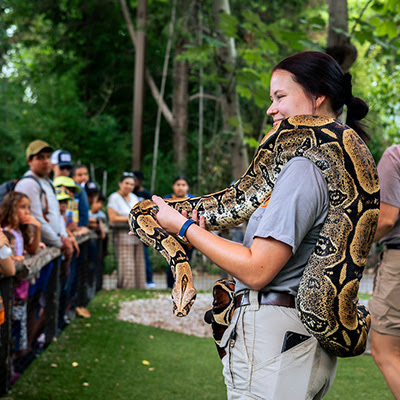 Dallas Zoo Dollar Days