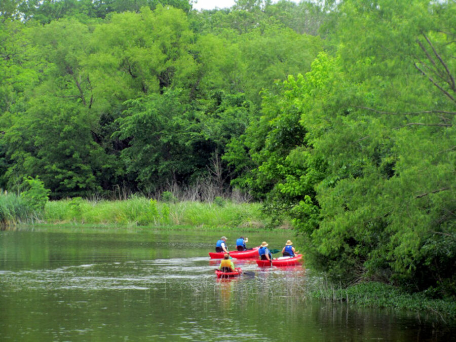 3-Hour Wetland Canoe Trails at the Heard in McKinney, Photo courtesy S. Jennings