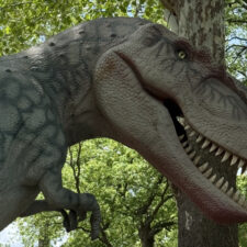 Dinosaurs Live! at the Heard in McKinney, photo courtesy S. Jennings