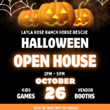 Layla Rose Ranch Horse Rescue Halloween Open house