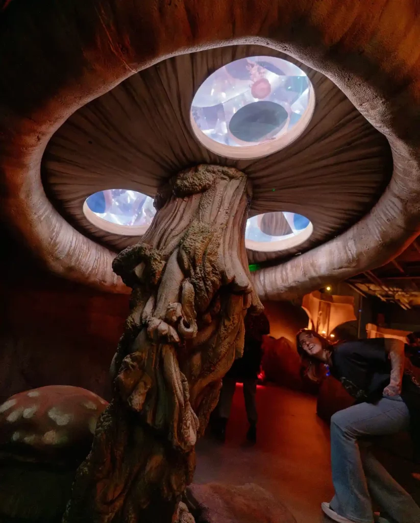 Dungeons & Dragons: The Immersive Quest