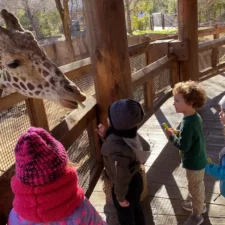 Dallas Zoo Winter Break Camps