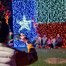 FWBG Christmas in the Garden-sized