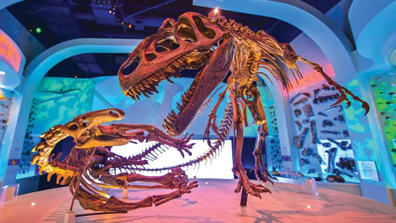 Creative, Cultural, Performing & Outdoor Experiences