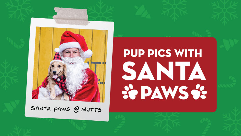 Santa Paws at MUTTS Canine Cantina