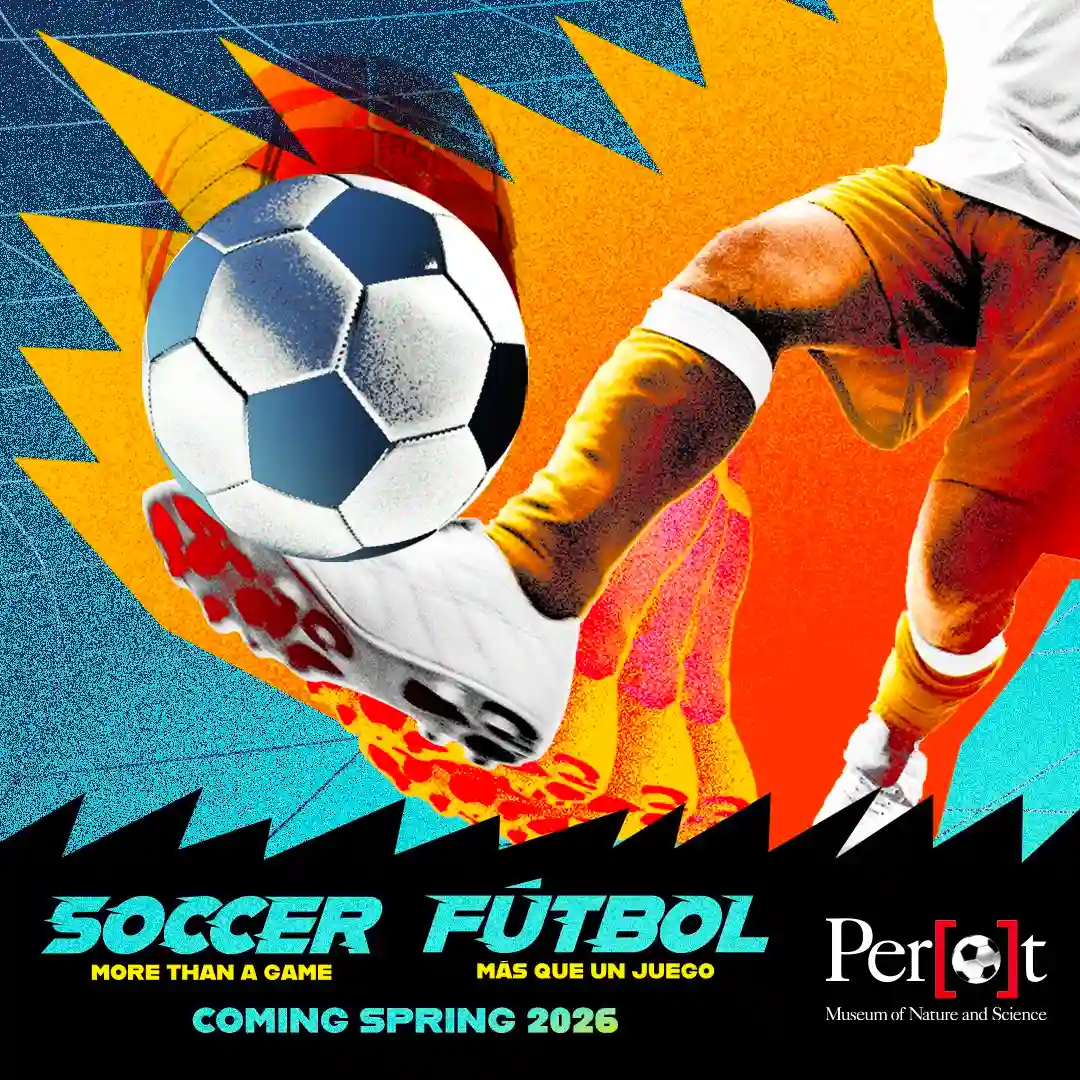 Soccer: More Than a Game, Perot Museum of Nature and Science
