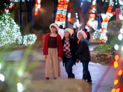 Family looking at Christmas lights at Holiday in the Park