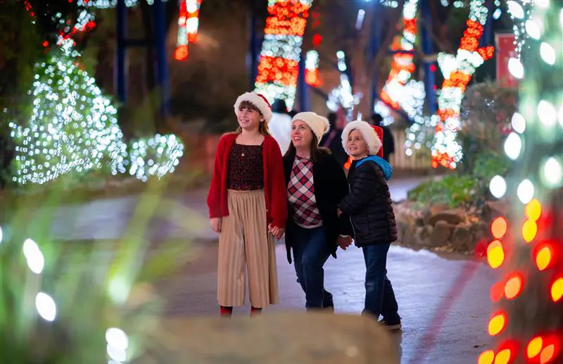 Family looking at Christmas lights at Holiday in the Park