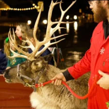 Country Christmas Hayride, at Stepping Stones Church in McKinney, Texas