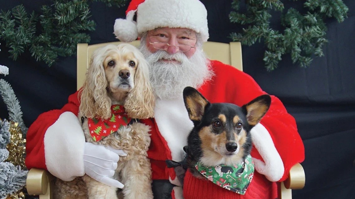 Santa Paws, photo courtesy Klyde Warren Park
